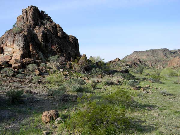 view of Ajo Mts southwest of Ajo town site photo by Michael Plagens