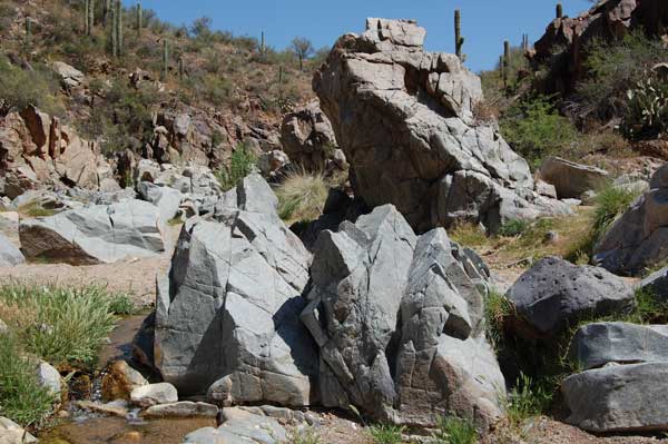 riparian habitat along Black Canyon near Bumble Bee, Arizona. photo by Mike Plagens