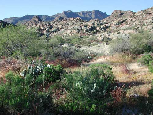First water trail superstition clearance mountains