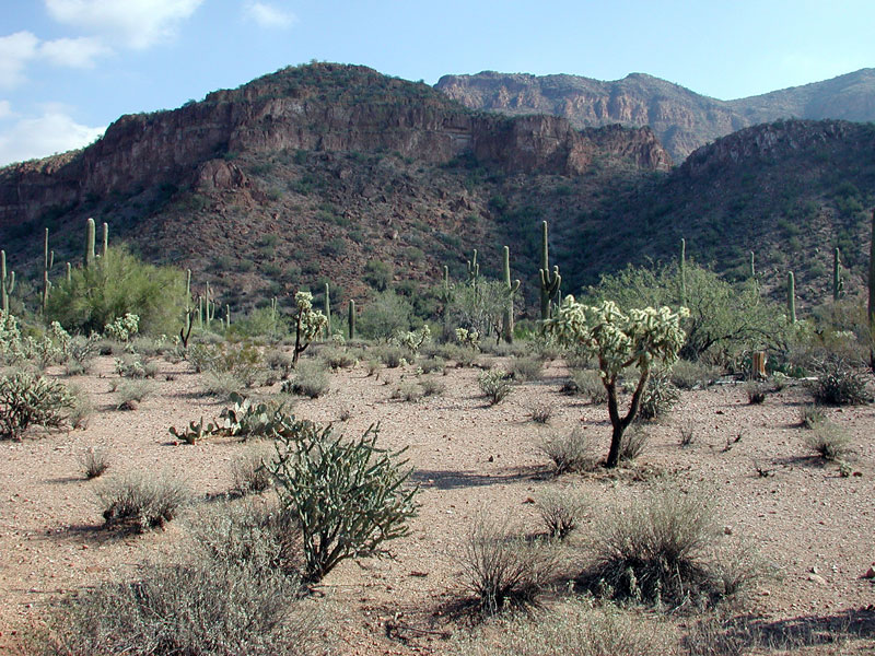 Box Canyon in the Mineral Mountains, Arizona. Photo © by Mike Plagens