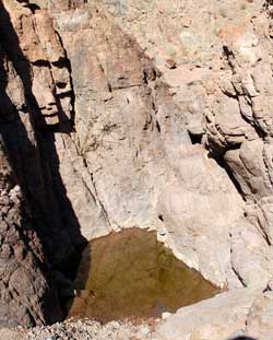 a tinaja holding water in the Muggins Mountain Wilderness