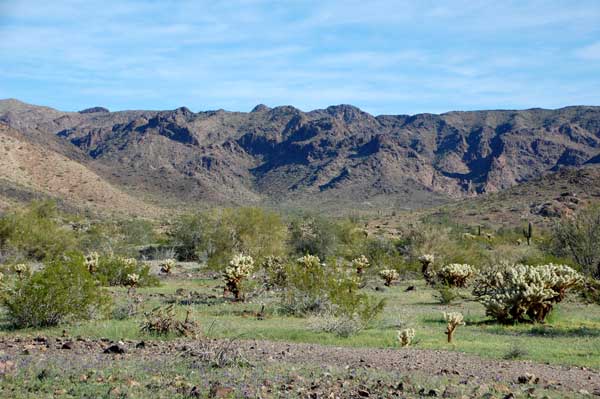 Plomosa Mountains as viewed from the south.  Photo © Mike Plagens