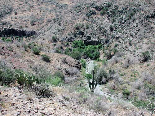 View of Rackensack Canyon just above its confluence with Camp Creek. Photo © Michael Plagens