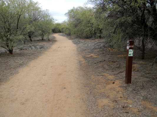 Walking trail through Reach 11 Park, Phoenix, Arizona