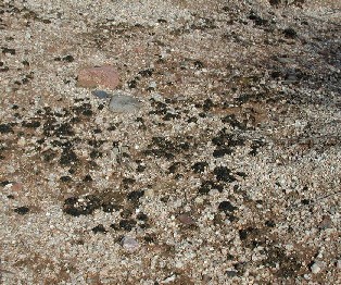 Photo � by Michael Plagens